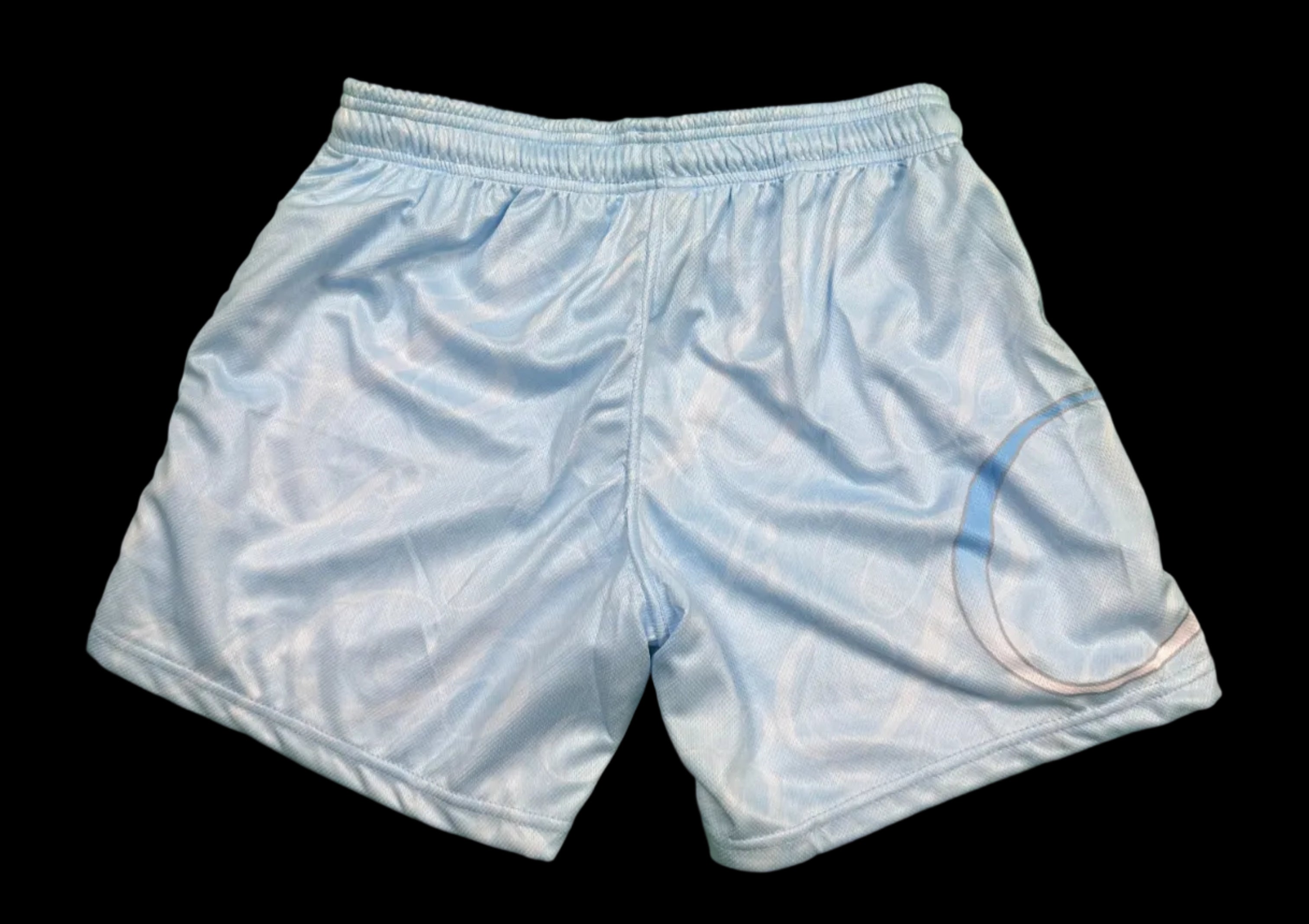 Arctic Ice Shorts